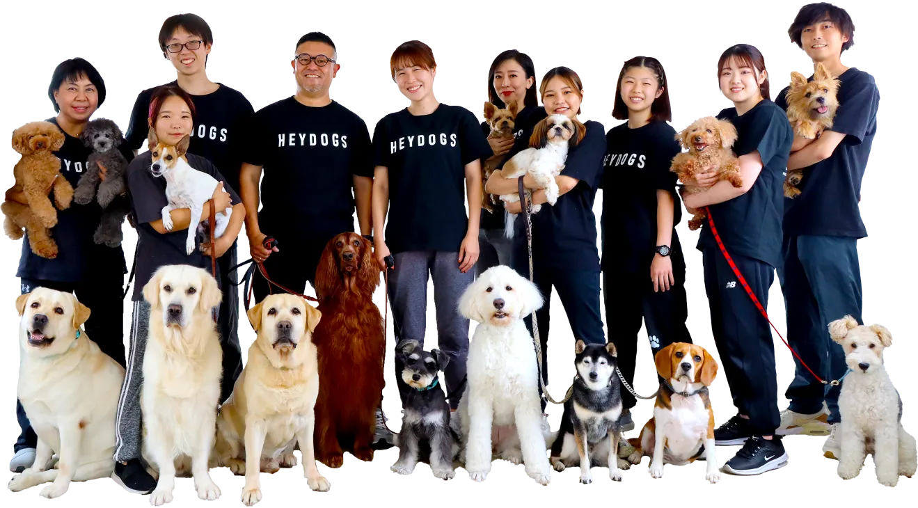 集合写真
