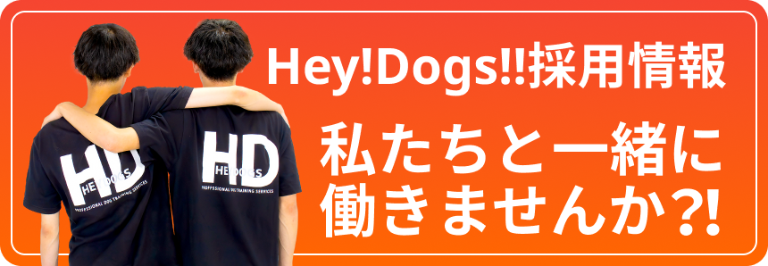 採用ページリンク