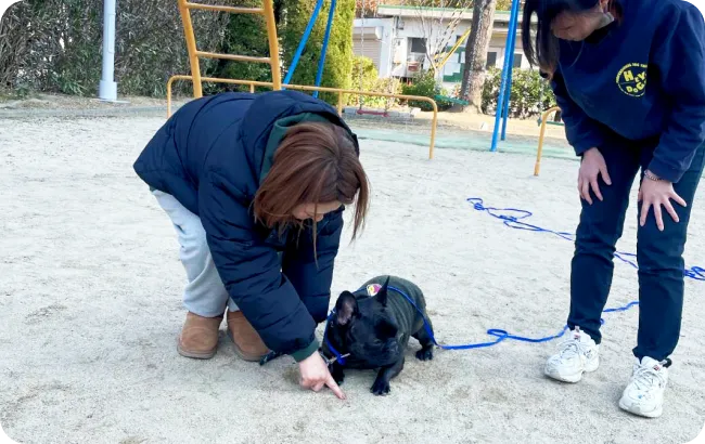 飼い主様と一緒に行うレッスン_イメージ画像
