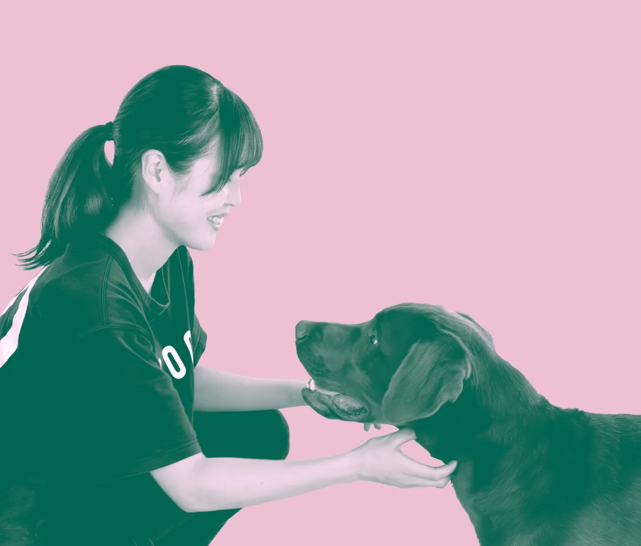 命在る全ての愛犬に教育を。