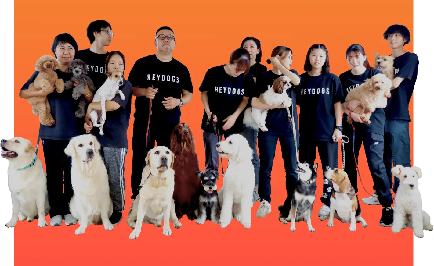 犬とたわむれる様子