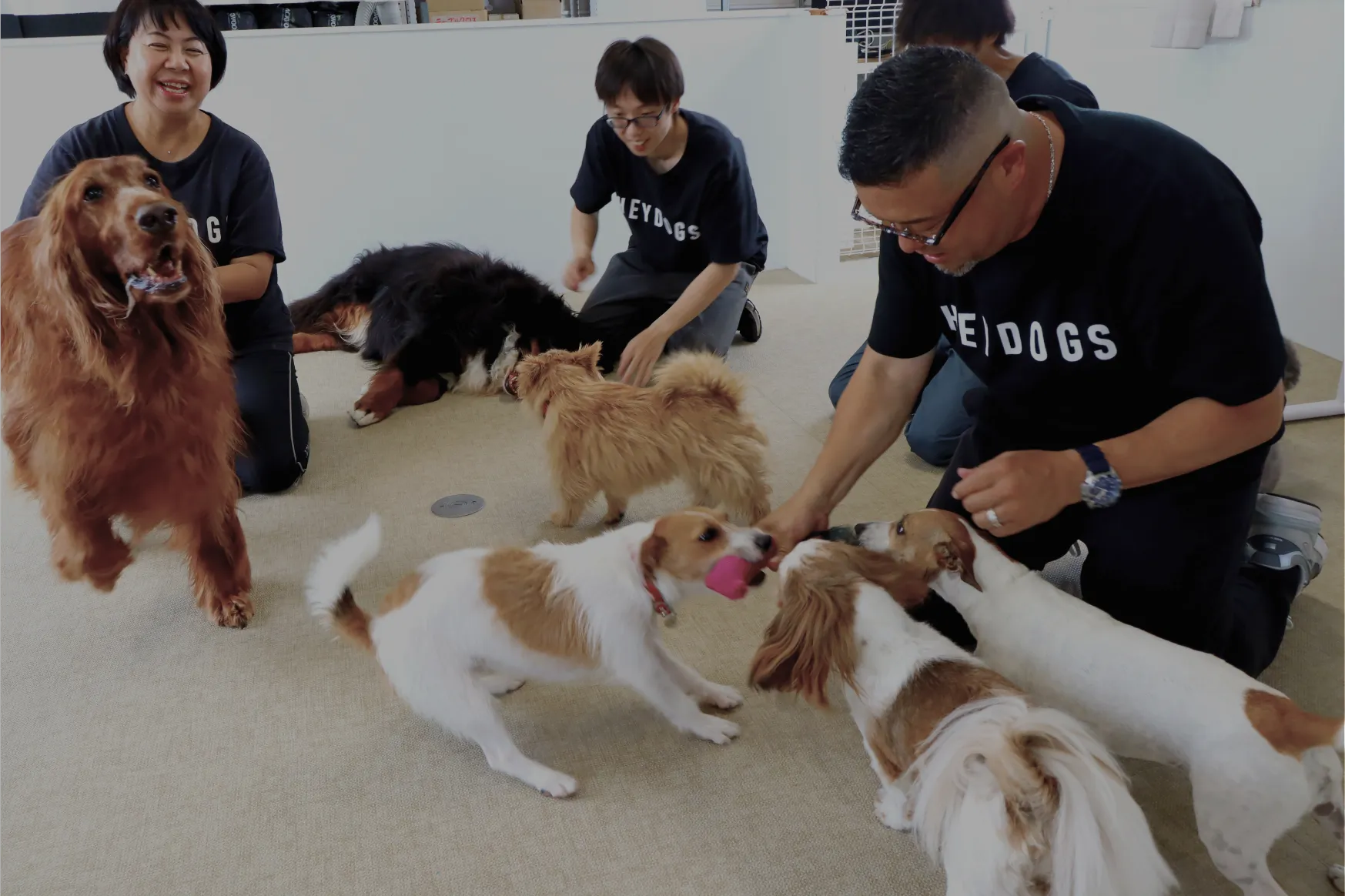 犬とたわむれる様子