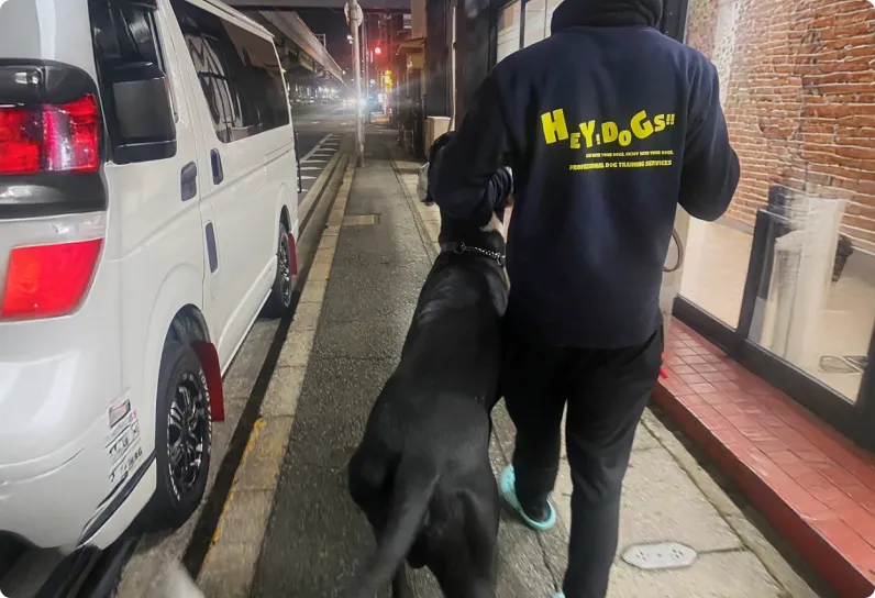 一日の流れイメージ画像