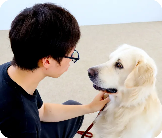 協調性豊かな愛犬を育てるイメージ画像