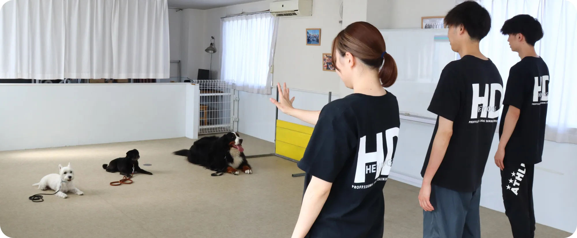 愛犬の幼稚園・パピークラス・合宿の様子